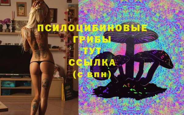 ALPHA-PVP Бородино