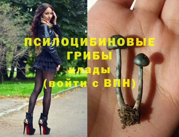 бошки Верхнеуральск